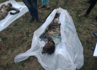 दलित-आदिवासियों का काल: शिवराज का शासनकाल