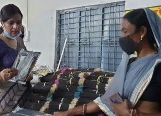 कलेक्टर ने मल्टी एक्टिविटी सेंटर महोरा गौठान का किया औचक निरीक्षण