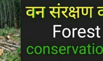 वन संरक्षण कानून में संशोधन मसौदा तैयार करने का ठेका कॉरपोरेट कंपनियों को