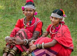 भारत: आदिनिवासी और उनका संघर्ष