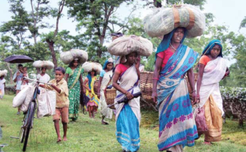 आदिवासियों को उजाड़ कर कैसा गौरव दिवस मोदी जी!