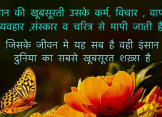 इंसान की खूबसूरती