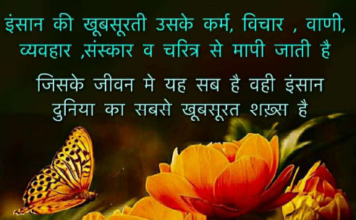 इंसान की खूबसूरती