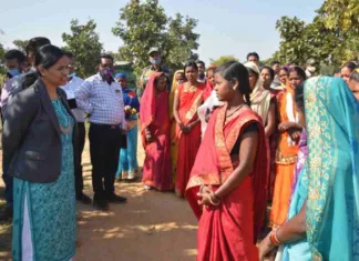 गौठानों में मुर्गी पालन, बकरी पालन सहित अन्य आजीविका गतिविधियों को बढ़ावा दें : कलेक्टर