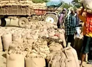 धान खरीदी: जिले में अब तक छह लाख 57 हजार क्विंटल से अधिक धान की हुई खरीदी