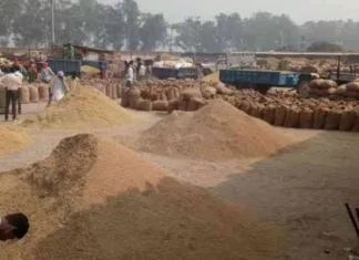 मंडियों में समर्थन मूल्य सुनिश्चित करे सरकार: किसान सभा