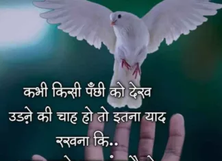 उड़ने की चाह