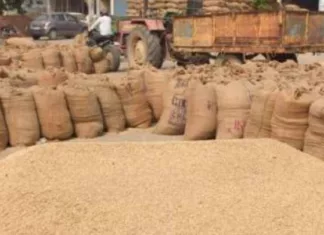 धान खरीदी: जिले में अब तक 3.50 लाख क्विंटल से अधिक धान की हुई खरीदी
