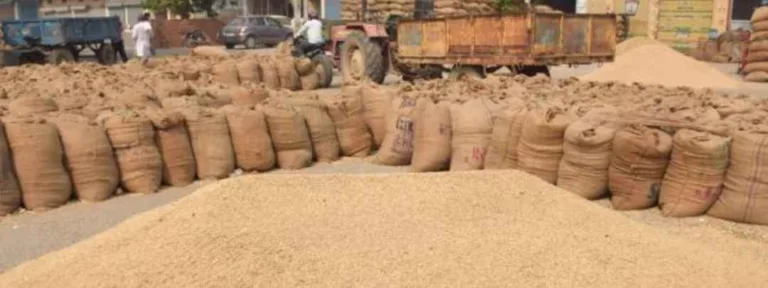 धान खरीदी: जिले में अब तक 3.50 लाख क्विंटल से अधिक धान की हुई खरीदी