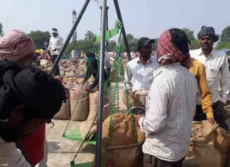 एक और नए केन्द्र में शुरू हुई धान खरीदी: सपलवा को उपार्जन केन्द्र बनाने से अब जिले में 55 केन्द्रों पर धान बेच रहे किसान