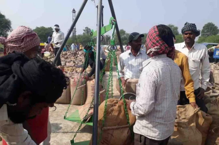 एक और नए केन्द्र में शुरू हुई धान खरीदी: सपलवा को उपार्जन केन्द्र बनाने से अब जिले में 55 केन्द्रों पर धान बेच रहे किसान