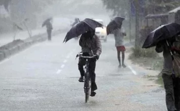 बेमौसम बारिश से हुए नुकसान का तत्काल होगा आंकलन, कलेक्टर श्रीमती साहू ने दिए निर्देश