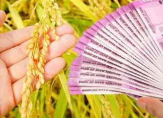 कृषि ऋण का लाभ ले रहे कॉरपोरेट घराने