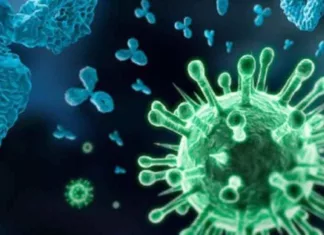 कोविड: जिले में 267 संक्रमित, शहर में सबसे ज्यादा 118, कलेक्टोरेट आया चपेट में