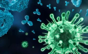 कोरबा में आज 427 कोविड संक्रमितों की पहचान