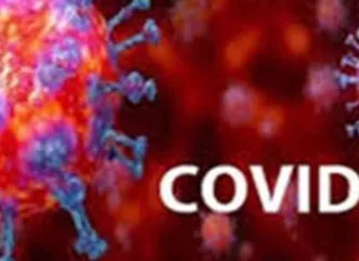 कोरबा जिले में आज 214 कोविड संक्रमितों की पहचान