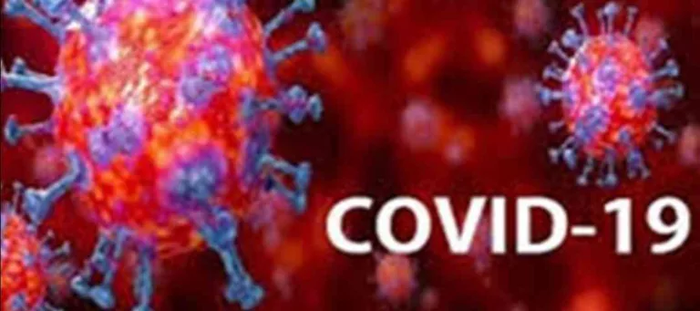 कोरोना आँकड़े : कोरबा जिले में आज 119 कोविड संक्रमितों की हुई पहचान