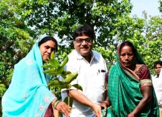 BALCO में अंतर्राष्ट्रीय जैव विविधता दिवस धूमधाम से संपन्न: अनेक कार्यक्रम आयोजित
