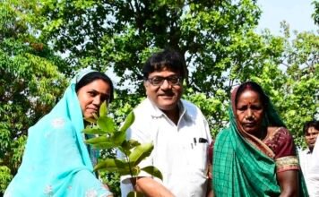 BALCO में अंतर्राष्ट्रीय जैव विविधता दिवस धूमधाम से संपन्न: अनेक कार्यक्रम आयोजित