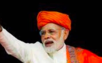 एक देश, एक नेता, एक वोट, एक निशान: याद रखो बस मेरा नाम