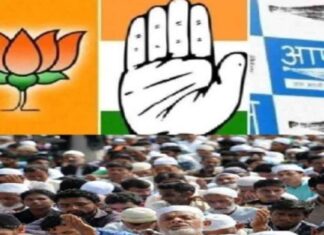 नो हार, ओन्ली जीत