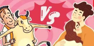 काऊ हग बिन वैलेंटाइन सूना!