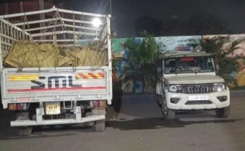 कोरबा जिले में शासकीय खाद्यान्न की अफरा तफरी: क्राइम ब्रांच ने पकड़ी पीडीएस चावल से भरी वाहन