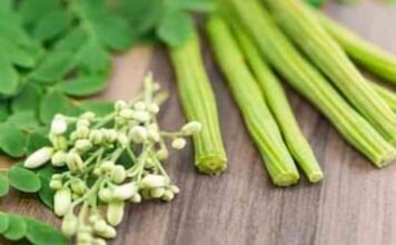 इतना लोकप्रिय आहार क्यों है मुनगा? : Moringa