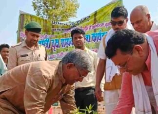 मुख्यमंत्री भूपेश बघेल ने छत्तीसगढ़ के सभी जिलों में मुख्यमंत्री वृक्ष संपदा योजना का किया वर्चुअल शुभारंभ