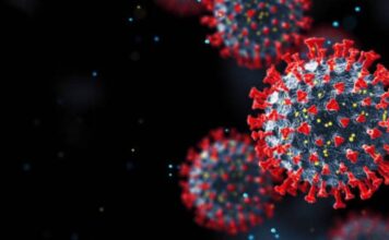 कोविड-19: राज्य शासन ने जारी किये निर्देश