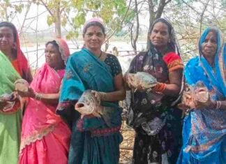 भावना समूह की महिलाओं को मत्स्य पालन से मिला आर्थिक लाभ