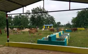 गोधन न्याय योजना से महिलाओं को आर्थिक रूप से सक्षम होने का मिला अवसर: वर्मी कम्पोस्ट उत्पादन से समूह को प्राप्त हुआ 2.70 लाख