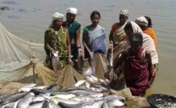 मत्स्य आखेट पर रहेगा प्रतिबंध: मछलियों के संरक्षण हेतु 15 अगस्त तक बंद ऋतु घोषित