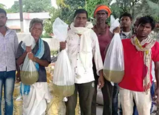 रायगढ़: मत्स्य बीज प्रक्षेत्र चांदमारी एवं छिन्द में मत्स्य बीज स्पॉन, फ्राई एवं फिंगरलिंग उपलब्ध