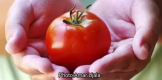 एक नई इबारत: अब टमाटर-मुक्त भारत