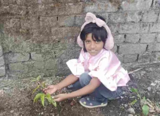 अगली पीढ़ी के लिए: आज का पौधारोपण, एक जीवनदाई उपहार