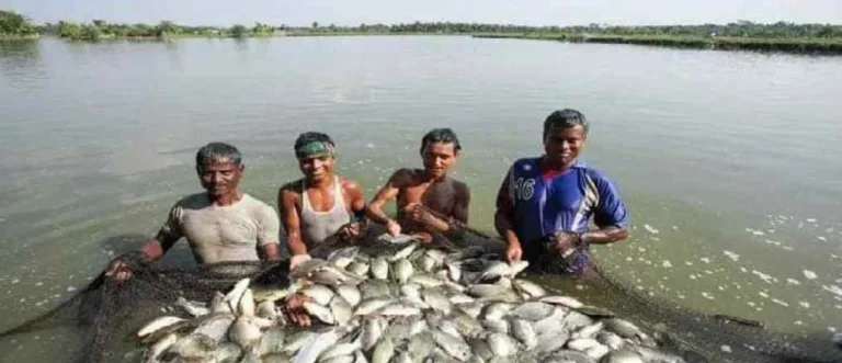 मछलियों के संरक्षण के लिए 15 अगस्त तक मत्स्य आखेट पर प्रतिबंध: बंद ऋतु घोषित