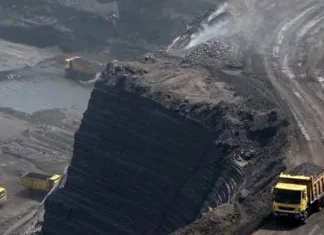 छत्तीसगढ़ के 7 नए कोयला खदानों की नीलामी: वन विनाश का खतरा, हाथी-मानव संघर्ष का बढ़ता डर!