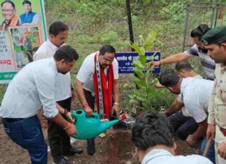 पर्यावरण संरक्षण के लिए एक पेड़, मां के नाम: मंत्री रामविचार नेताम का अनूठा प्रयास!
