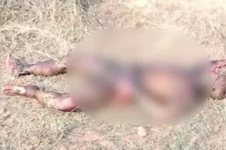 कटघोरा: हुंकरा पहाड़ी के पास मिली अधजली लाश, जांच में जुटी पुलिस