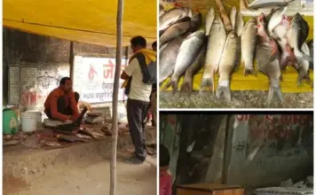 कोरबा में खुले में मांस विक्रय: स्वास्थ्य और स्वच्छता के प्रति प्रशासन की उदासीनता