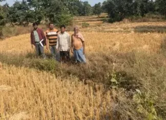 बेहरचुआं: सरकारी जमीन पर अवैध खेती, प्रशासन ने जब्त किए 135 बोरी धान