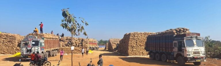 रायगढ़: खरीदी केंद्रों से धान उठाव के लिए दो दिनों में मिलर्स ने कटवाया 23 हजार मीट्रिक टन से अधिक का डीओ, 4207 मीट्रिक टन धान भी उठाया
