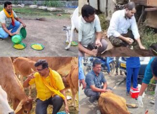 खरसिया के राकेश केसरवानी: निस्वार्थ गौसेवा से समाज में रच रहे हैं मिसाल