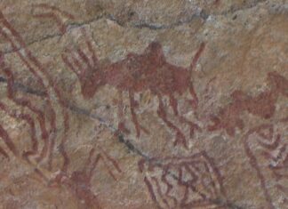 रायगढ़ : शैलचित्रों की दुर्लभ श्रृंखला का गढ़