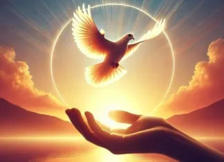 माफी: जीवन को नया आयाम देने का संजीवनी मंत्र