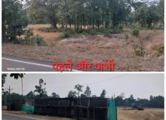 कोरबा में सरकारी जमीन पर अवैध कब्जा: हरे-भरे जंगल की कटाई कर जमीन पर कब्जे का आरोप