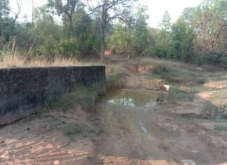 कोरबा: ग्राम पंचायत बेला की इस सड़क का दर्द, कच्चे रास्ते और टूटी पुलिया ने छीनी ग्रामीणों की राहत