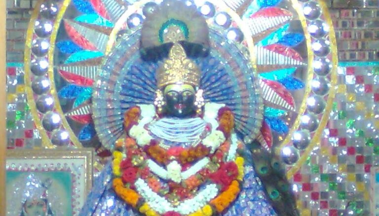 श्याम बाबा का 28वां जन्म उत्सव धूमधाम से मनाया जाएगा