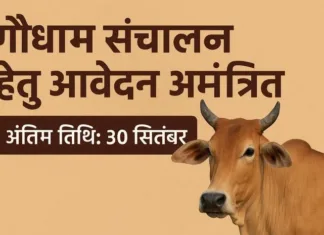 कोरबा जिले में गौधाम संचालन हेतु आवेदन आमंत्रित: अंतिम तिथि 30 सितंबर